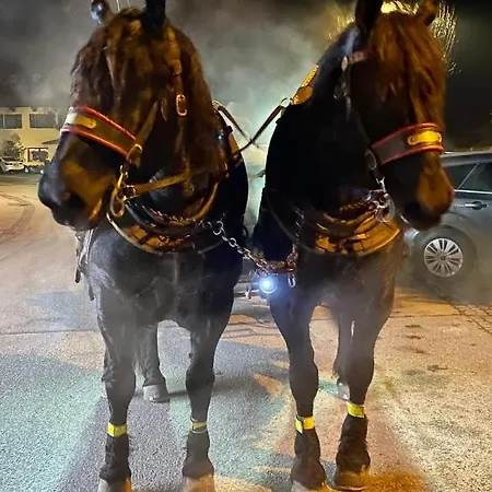 Gastuna * Bad Hofgastein