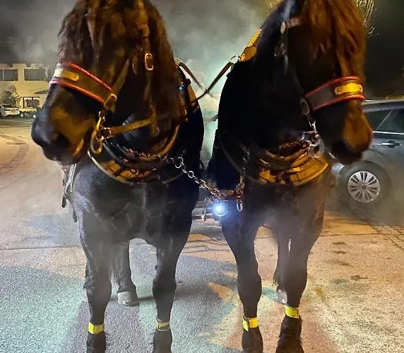 Gastuna * 巴特霍夫加施泰因